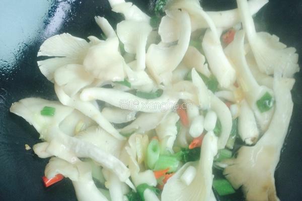 蘑菇芹菜的做法图解4