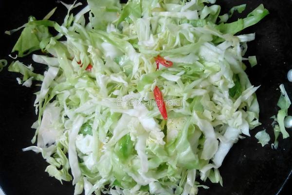 鸡丝炒圆白菜的做法图解7
