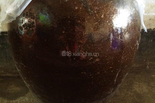 家乡葡萄酒。的做法图解4