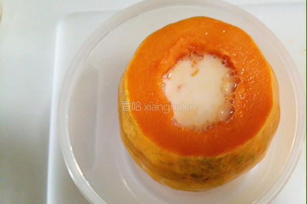 木瓜牛奶冻的做法图解6