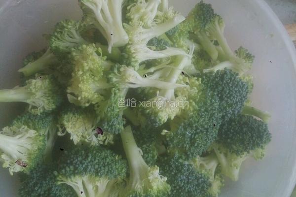 蒜蓉西兰花的做法图解1