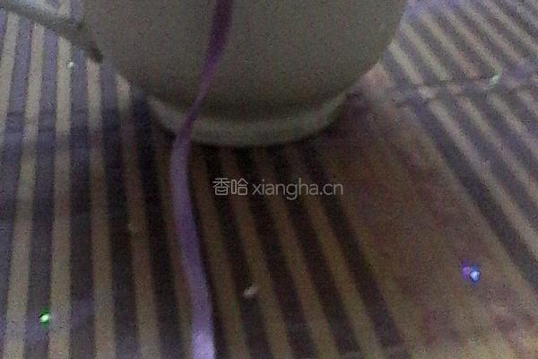 冰奶茶的做法图解3