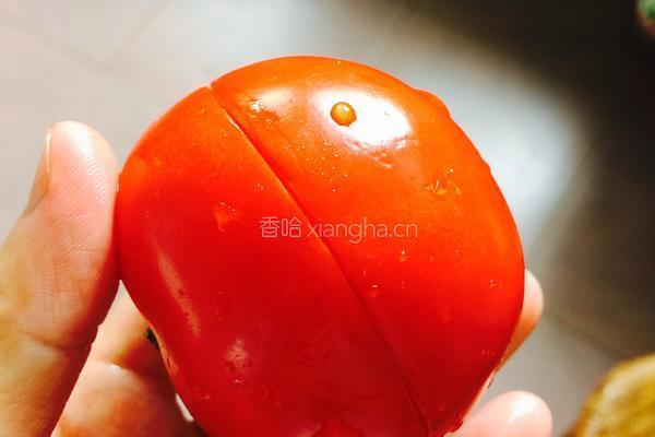 意式番茄酱的做法图解1