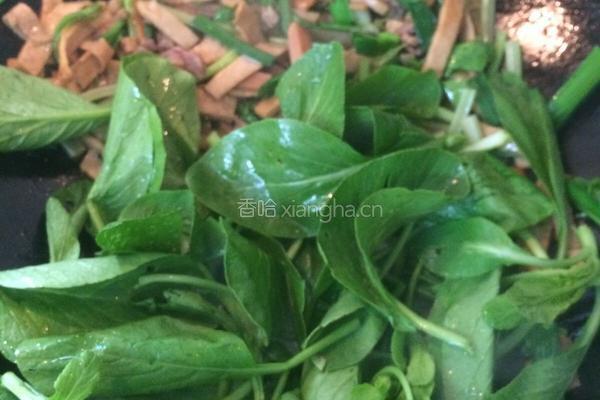 炒河粉的做法图解8