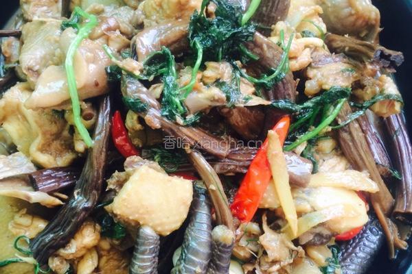 茶树菇烧鸡肉的做法图解9