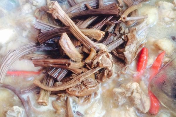 茶树菇烧鸡肉的做法图解6