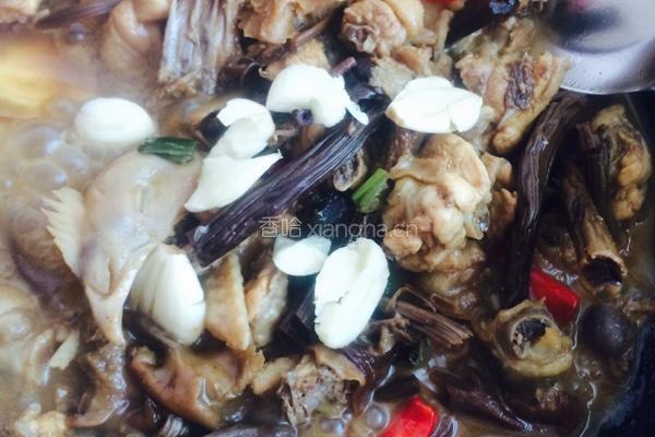 茶树菇烧鸡肉的做法图解7