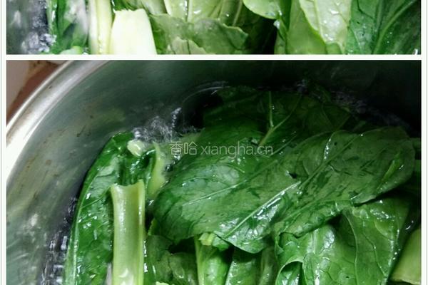 芥菜豆腐肉未汤的做法图解8