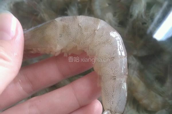 蒜蓉蒸虾的做法图解1
