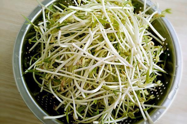 凉拌绿豆芽粉丝的做法图解2