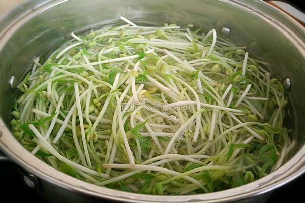凉拌绿豆芽粉丝的做法图解3