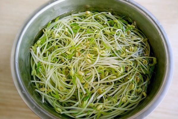 凉拌绿豆芽粉丝的做法图解4