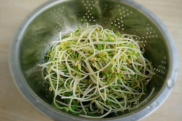 凉拌绿豆芽粉丝的做法图解5