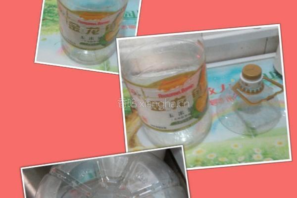 自制豆芽(环保版)的做法图解2