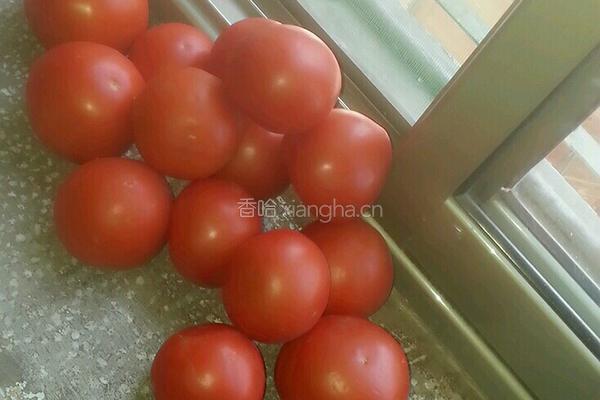 西红柿酱的做法图解1