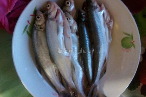 红烧炸小河鱼的做法图解1