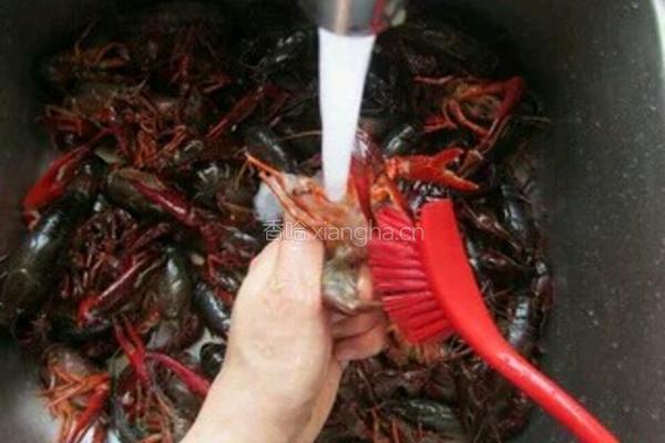麻辣龙虾的做法图解1