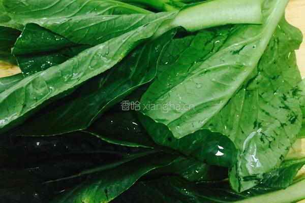 水丸子菜心汤的做法图解9