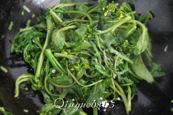 清炒小菜芯的做法图解4