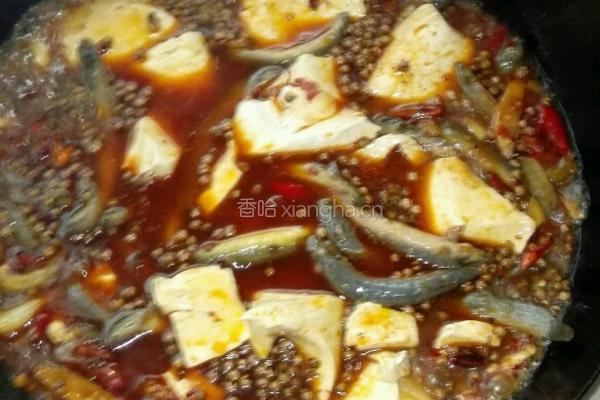 豆花泥鳅的做法图解6