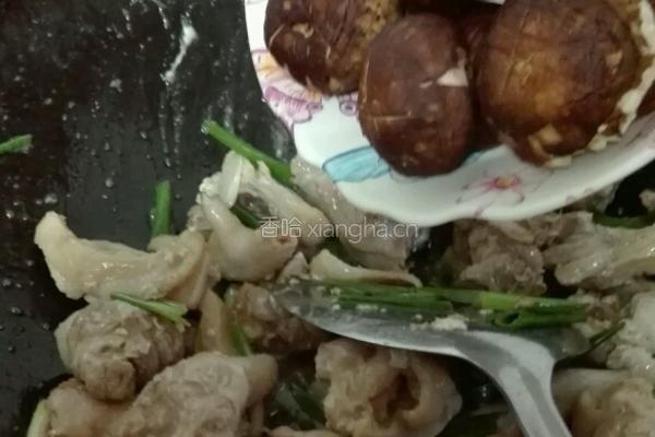 小鸡炖蘑菇粉条的做法图解4