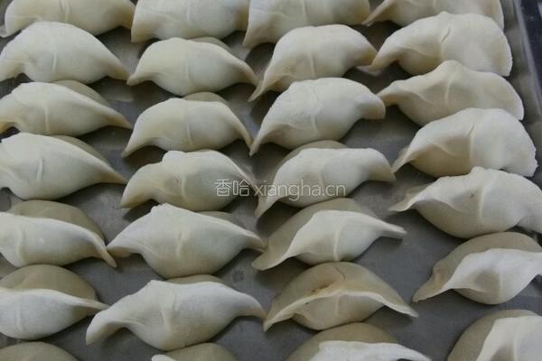 清真饺子的做法图解8