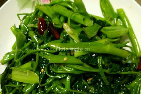 炒空心菜的做法图解4