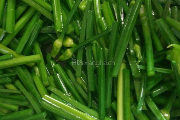 韭菜花炒猪肝的做法图解3