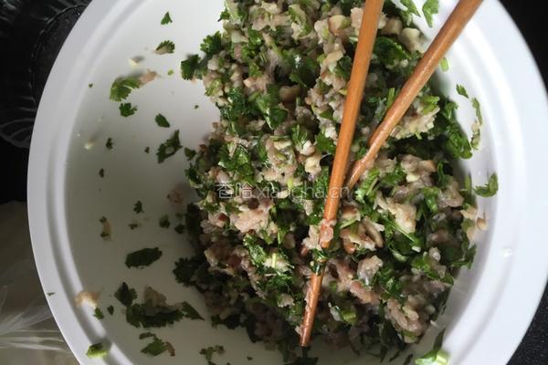香菜猪肉饺子的做法图解3