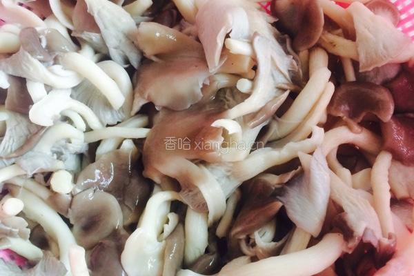 当归鸽子汤的做法图解3