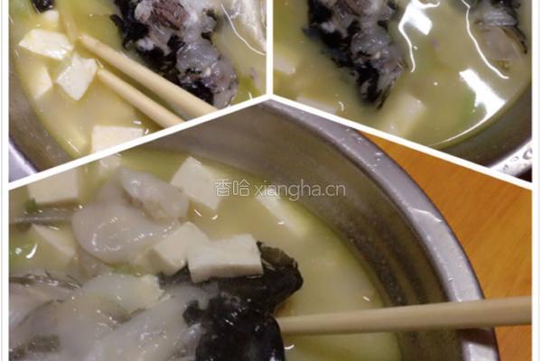 煎花鲢鱼的做法图解6
