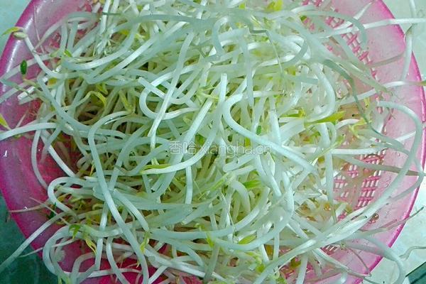 豆芽炒河粉的做法图解2