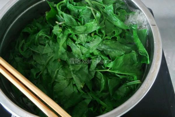 剪刀菜凉拌的做法图解2