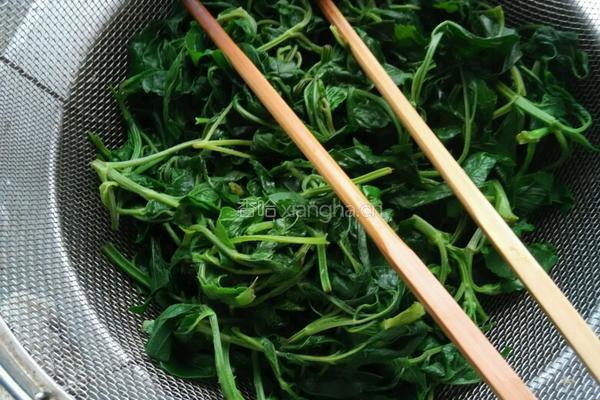 剪刀菜凉拌的做法图解3
