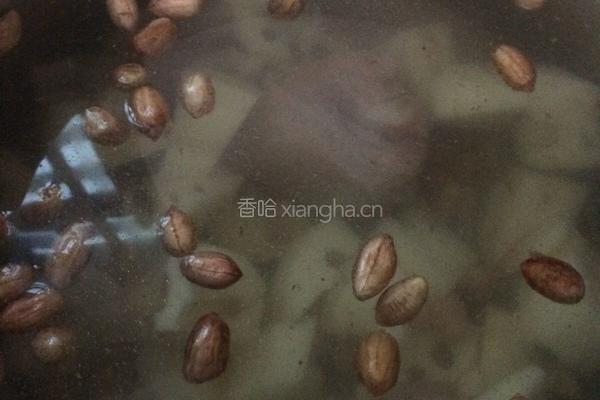 莲藕龙骨汤的做法图解4