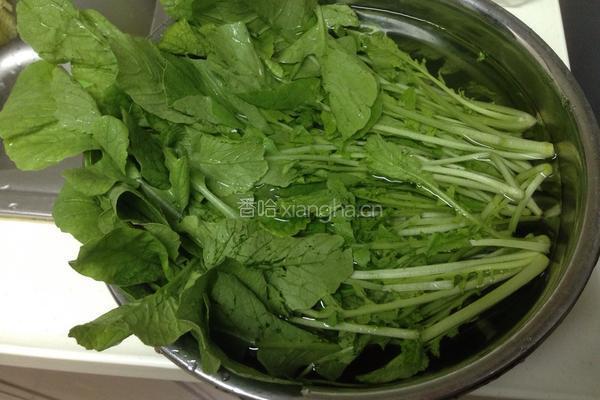 蒜蓉萝卜菜的做法图解1
