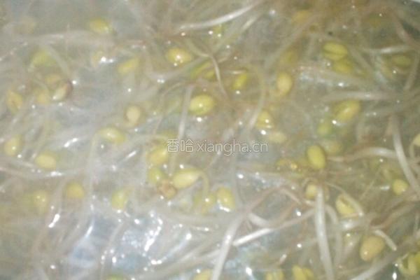 豆芽土豆面的做法图解10