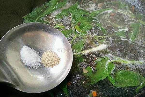 紫菜鸡汤的做法图解9