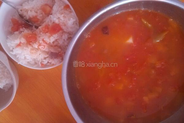 西红柿牛腩的做法图解3