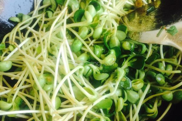 豆苗炒肉的做法图解5