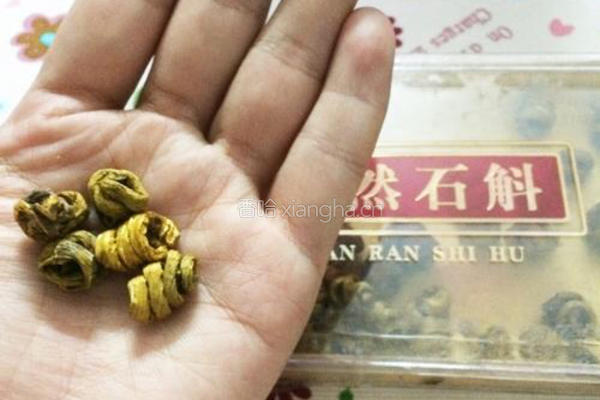 花胶石斛瘦肉汤的做法图解2