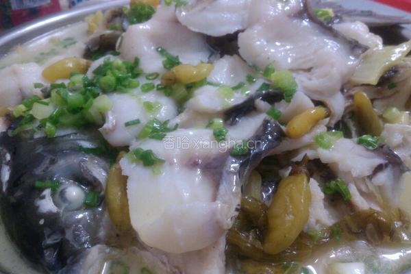 酸菜煮鲩鱼的做法图解15
