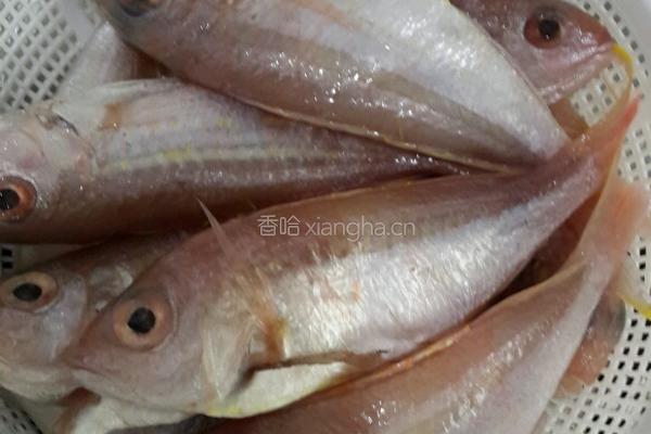 香煎红衫鱼的做法图解1