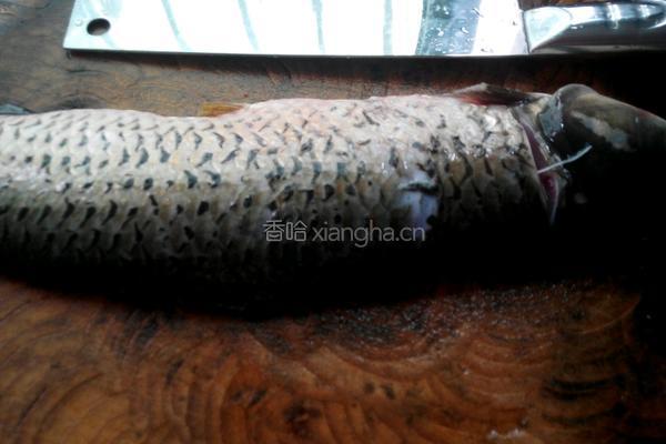 水煮鱼的做法图解1