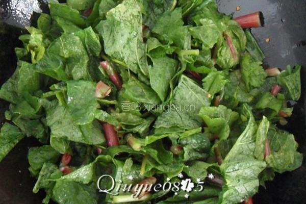 水萝卜缨炖豆腐的做法图解4