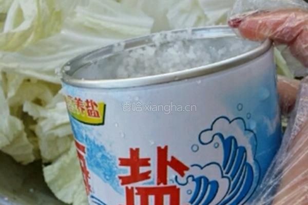 韩国泡菜的做法图解3