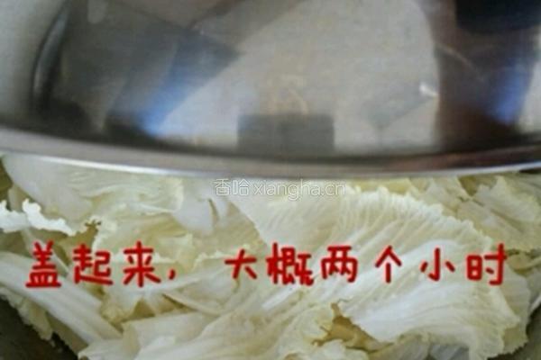 韩国泡菜的做法图解4