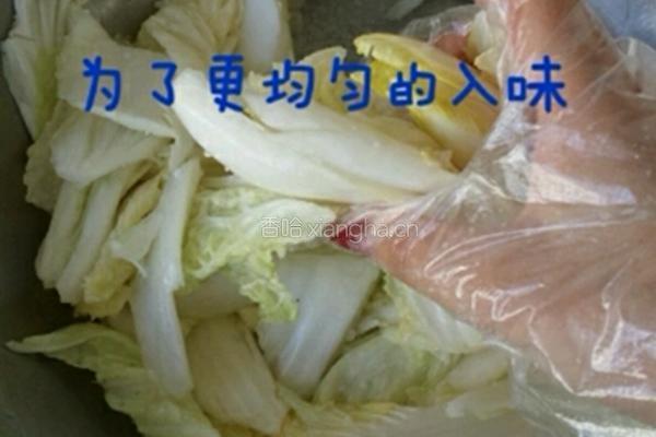 韩国泡菜的做法图解5