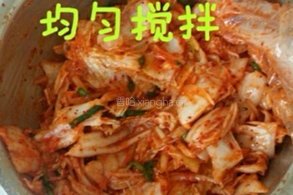 韩国泡菜的做法图解18