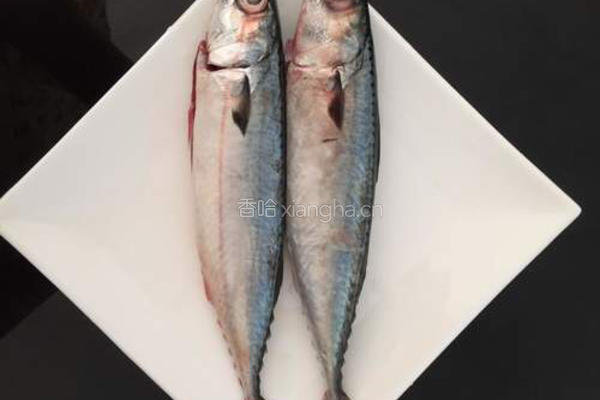 豆酱巴浪鱼的做法图解1